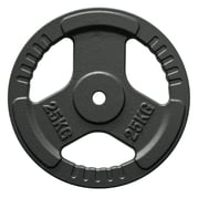 FitNord Valurautainen 30 mm Levypaino otekahvoilla 25 kg 1