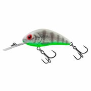 Salmo Rattlin'Hornet H5,5F GHOST PERCH 1