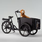 Cargobike of Sweden Flex Dog laatikkopyörä 1