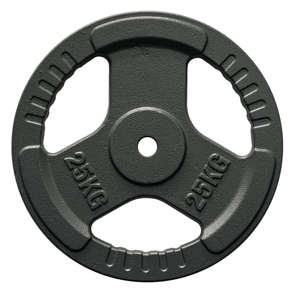 FitNord Valurautainen 30 mm Levypaino otekahvoilla 25 kg 1