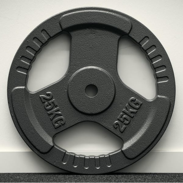 FitNord Valurautainen 30 mm Levypaino otekahvoilla 25 kg 4