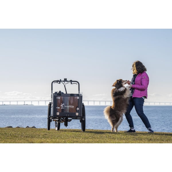 Cargobike of Sweden Flex Dog laatikkopyörä 2