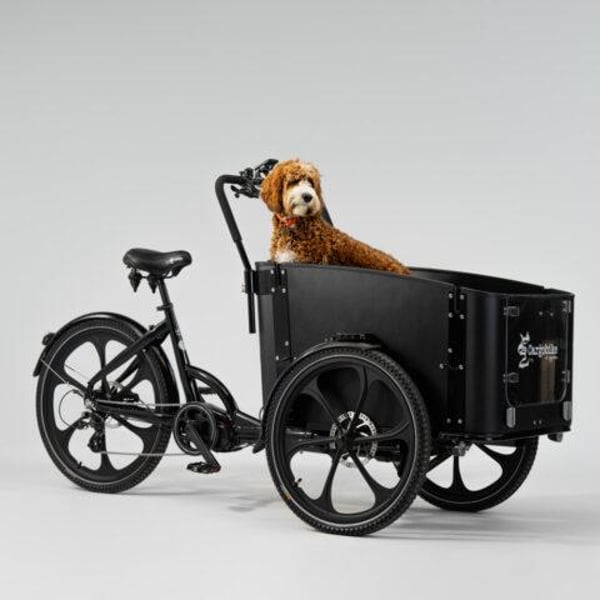 Cargobike of Sweden DeLight Dog laatikkopyörä 1
