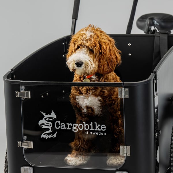 Cargobike of Sweden DeLight Dog laatikkopyörä 3