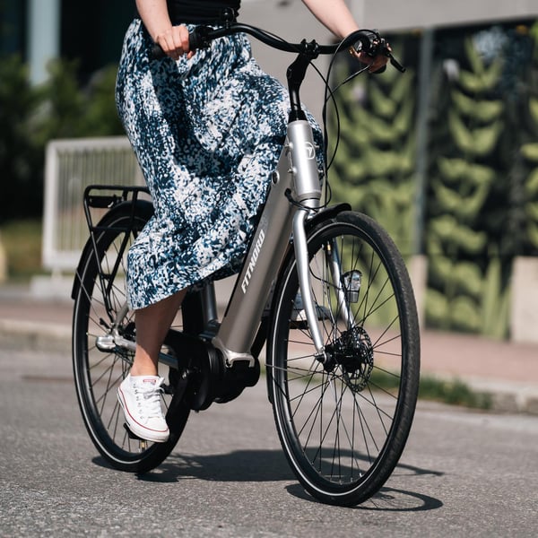 FitNord Classic 300 Sähköpyörä 2024, hopea (489,6 Wh akku) 6