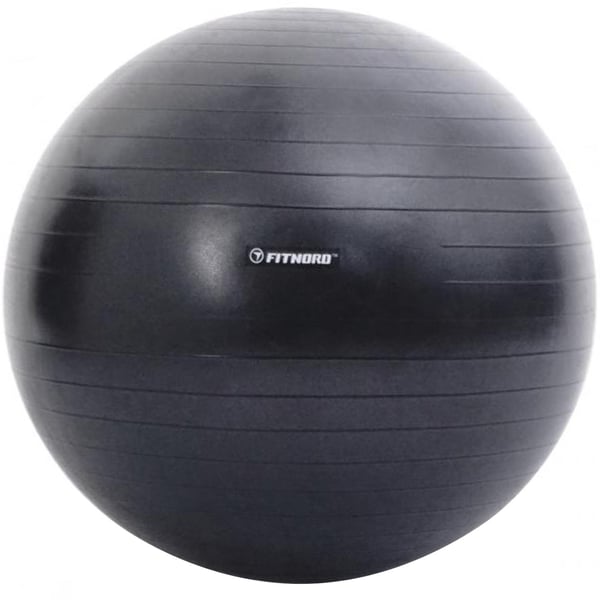 FitNord Jumppapallo 65 cm 1