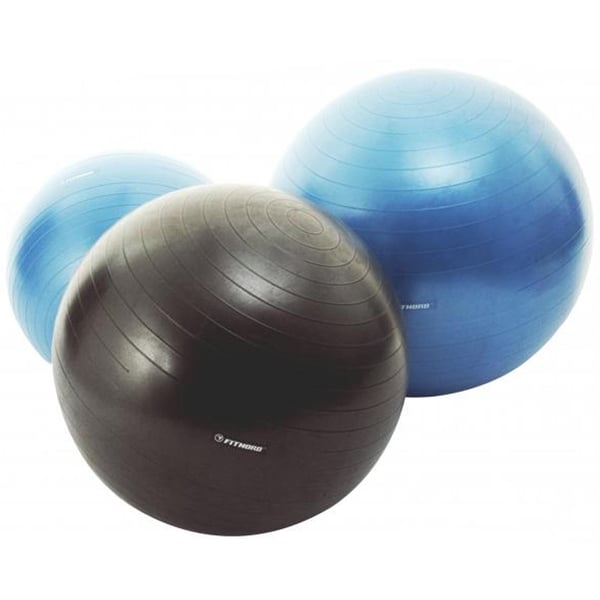 FitNord Jumppapallo 65 cm 3