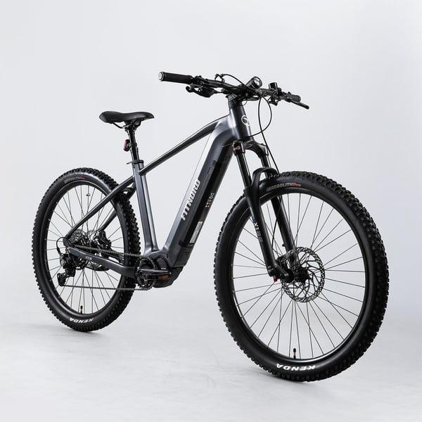 FitNord Ranger 800 Sähkömaastopyörä, musta 11