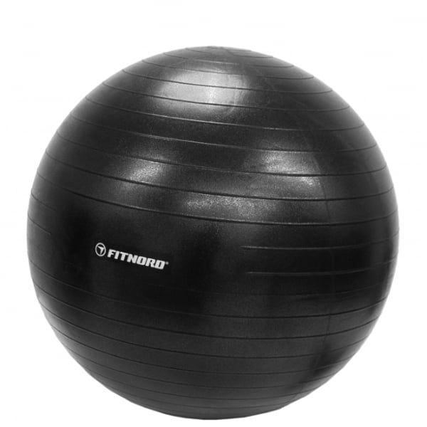 FitNord SF Jumppapallo 55 cm 1