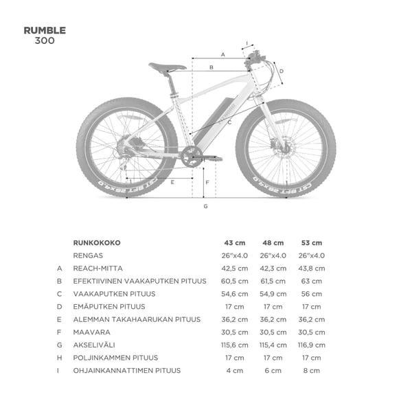 FitNord Rumble 300 Sähköfatbike (690 Wh tehoakku) 10