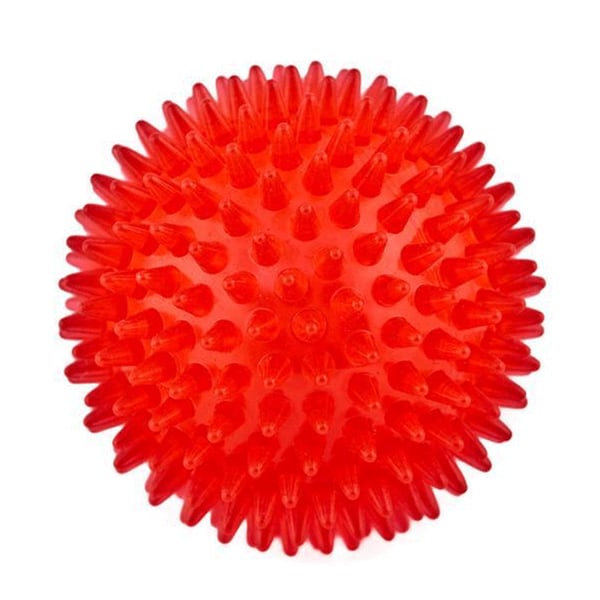 FitNord Rentouttava Hierontapallo, 9 cm 1