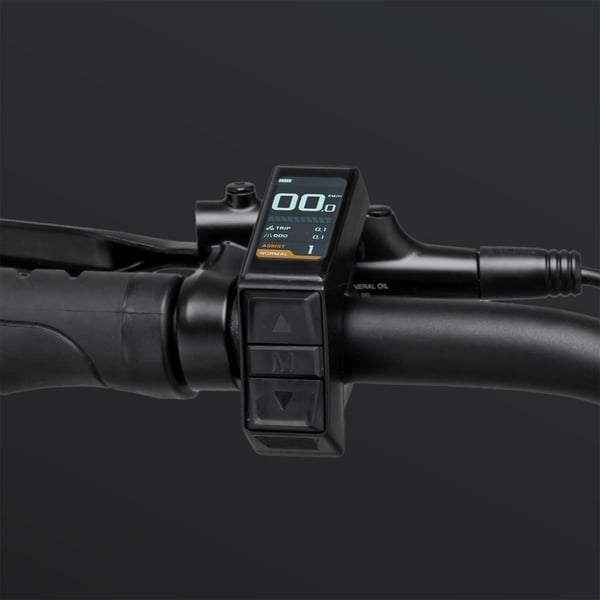 FitNord Ranger 200 Sähkömaastopyörä 2024, hopea (540Wh akku)