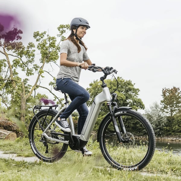 Flyer Gotour6 5.40 Sähköpyörä, Harmaa