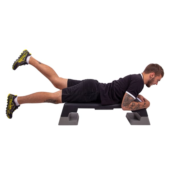 inSPORTline Absater Steppilauta