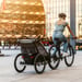 Lastenkuljetusperäkärry THULE Chariot Lite 1, Agave 2