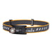Otsalamppu Fenix HM50R V2.0, 700 lm 1