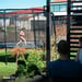 FitNord Bounce Trampoliini 430 cm 2024 6