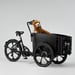 Cargobike of Sweden DeLight Dog laatikkopyörä 1