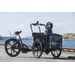 Cargobike of Sweden DeLight Dog laatikkopyörä 2