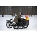 Cargobike of Sweden Flex laatikkopyörä 7