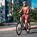 FitNord Classic 300 Sähköpyörä 2024, valkoinen (489,6 Wh akku) 4