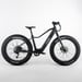 FitNord Rumble 300 Sähköfatbike G2, musta 1