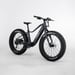 FitNord Rumble 300 Sähköfatbike G2, musta 4