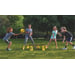Spikeball Rookie Set 5
