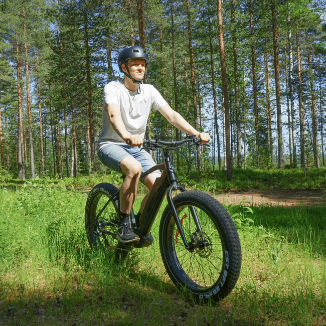 FitNord Rumble 500 Sähköfatbike (690 Wh tehoakku) 